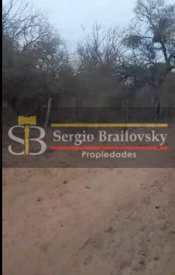 SE VENDE CAMPO DE 100 HA Candelaria San Luis