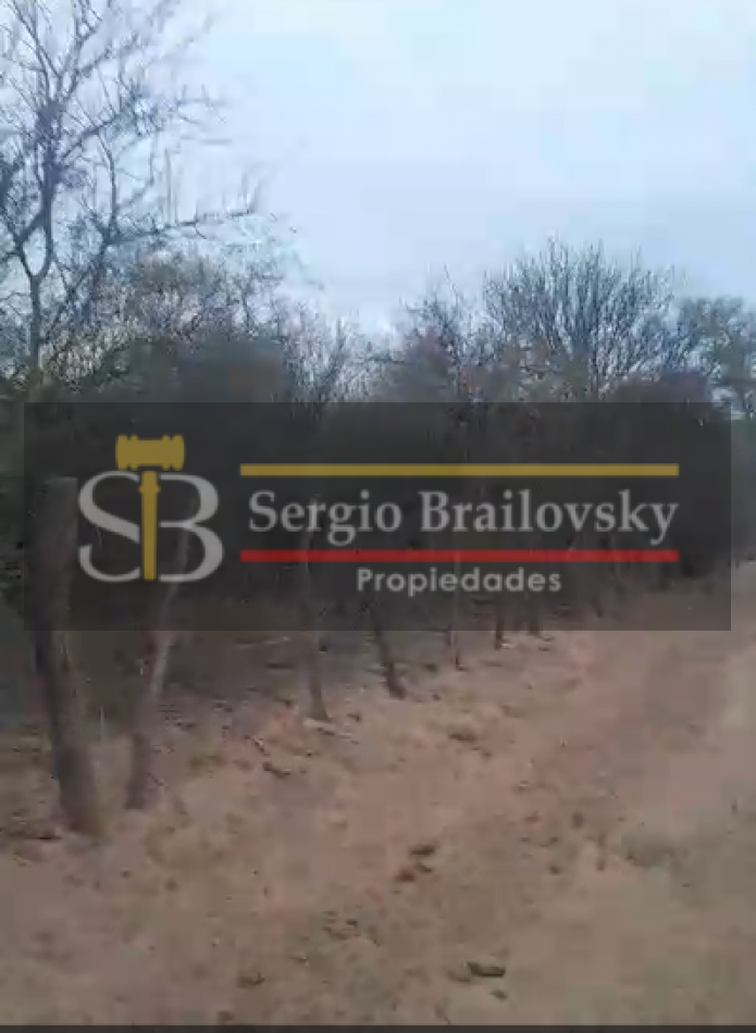 SE VENDE CAMPO DE 100 HA Candelaria San Luis