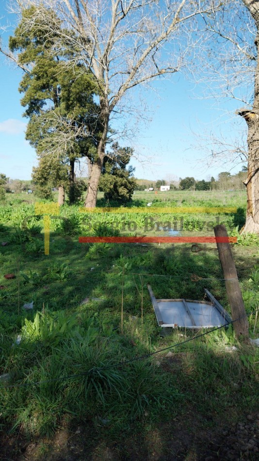 Lote en Venta - General Madariaga