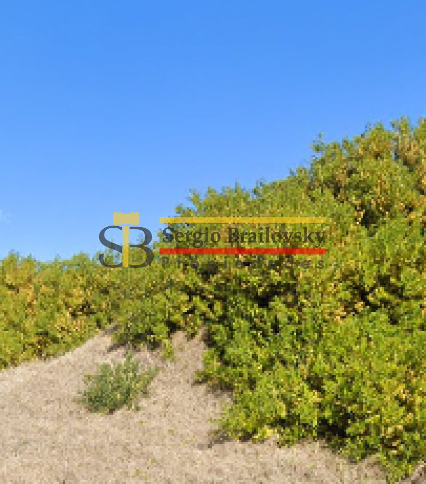 LOTE EN VENTA VILLA GESELL  