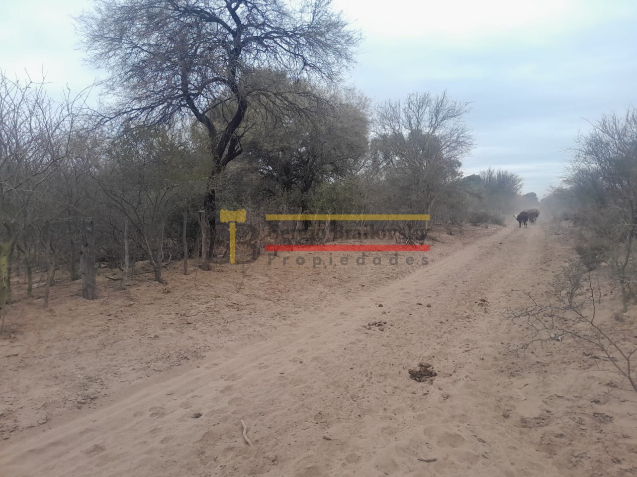 Se Vende Terreno/ Lote en Candelaria- San Luis