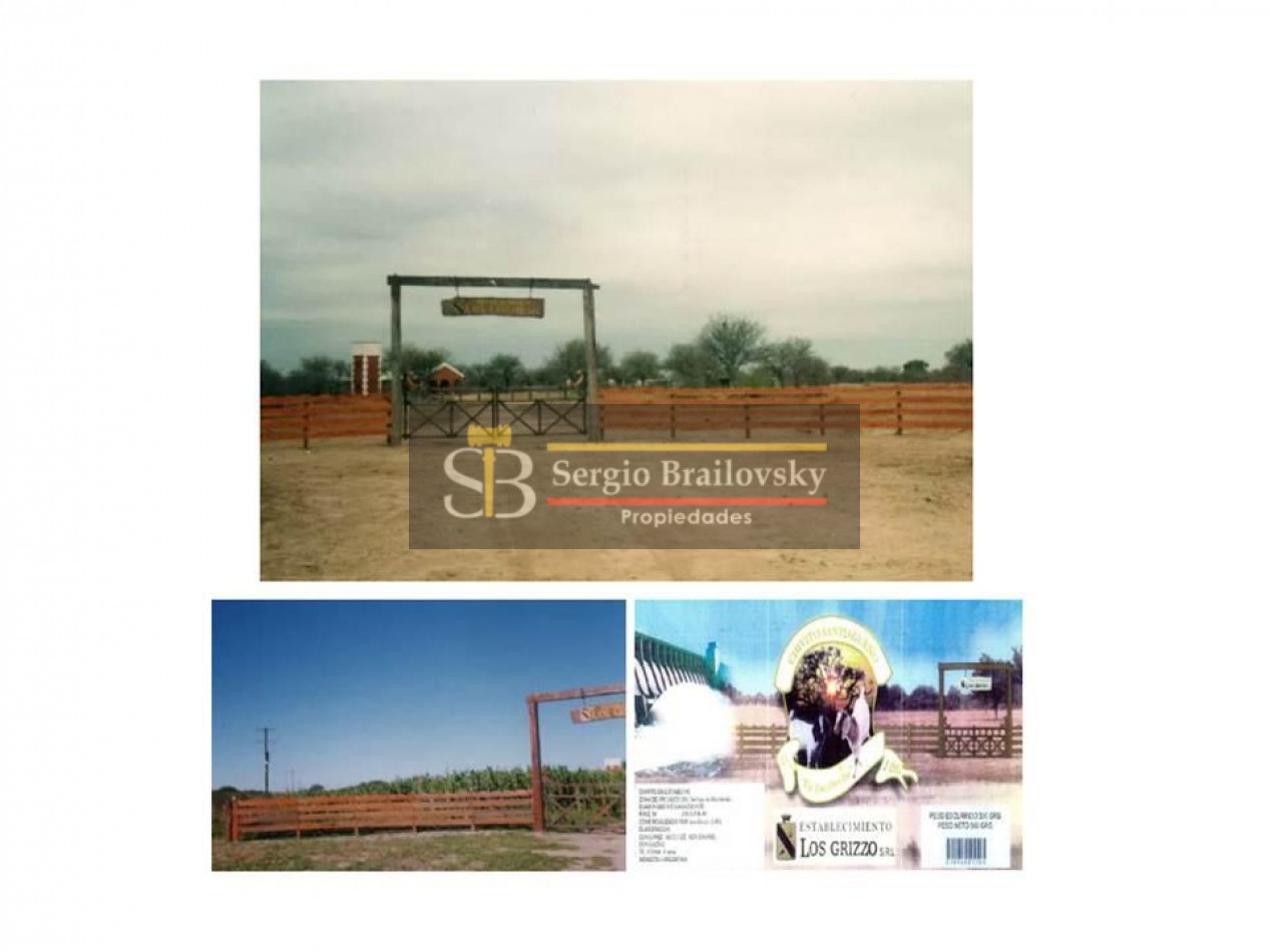 Se vende Campo 255Ha Termas De Rio Hondo- SE ESCUCHAN OFERTAS- SE ACEPTAN PERMUTAS- Ruta 52 KM 15 