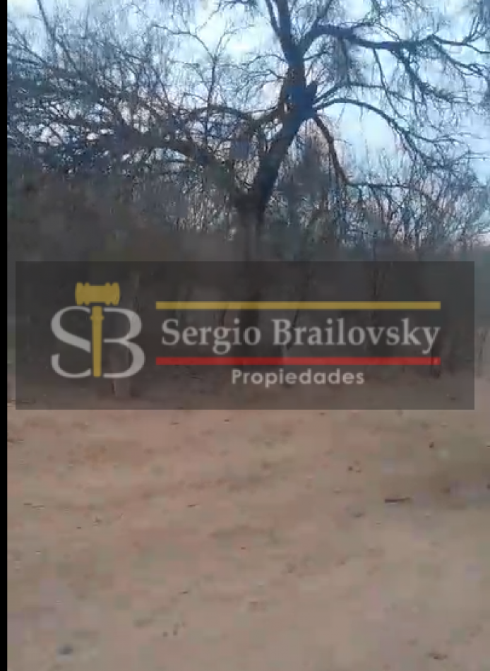 SE VENDE CAMPO DE 100 HA Candelaria San Luis