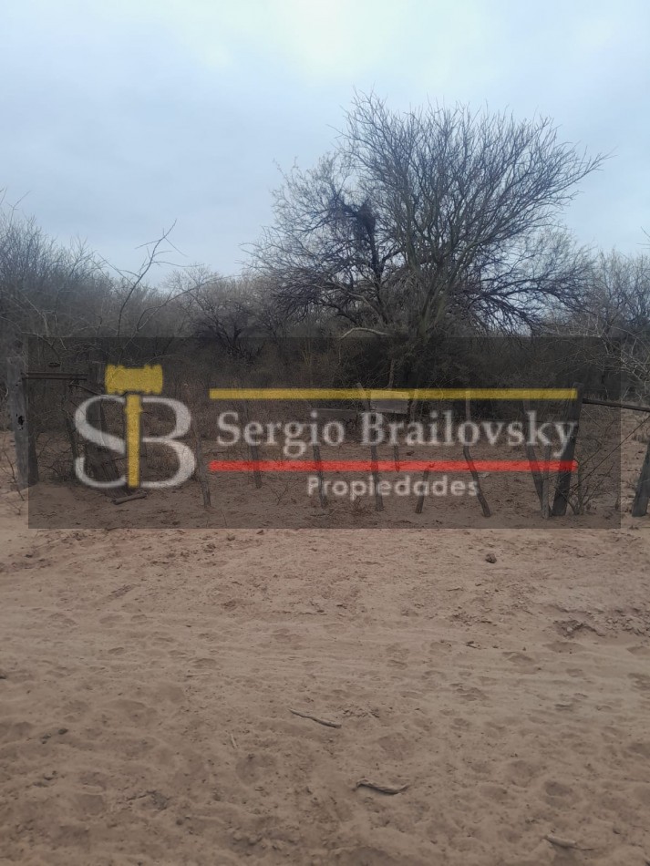 SE VENDE CAMPO DE 100 HA Candelaria San Luis