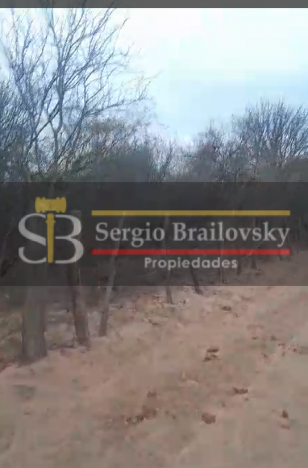 SE VENDE CAMPO DE 100 HA Candelaria San Luis