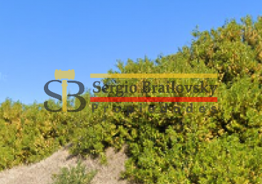 LOTE EN VENTA VILLA GESELL  