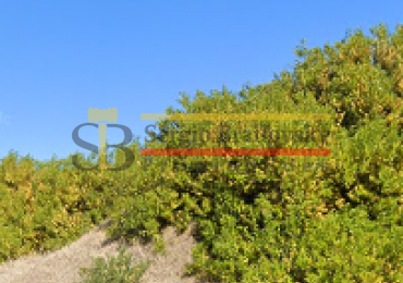 LOTE EN VENTA VILLA GESELL  