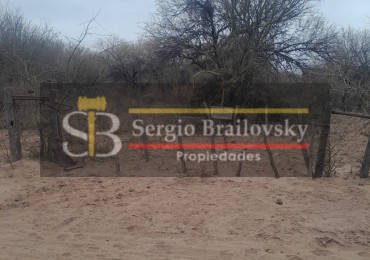 SE VENDE CAMPO DE 100 HA Candelaria San Luis